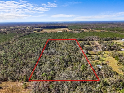 15 Acres Of Privacy In Beautiful Suwannee County, Florida - image 3