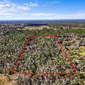 15 Acres Of Privacy In Beautiful Suwannee County, Florida - image 7