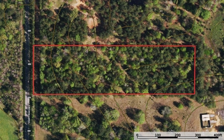 East TX Land for Sale Near Tyler in Smith County Wooded Land - image 2