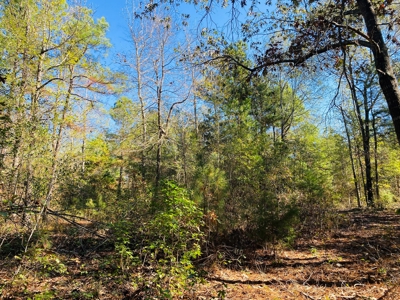 East TX Land for Sale Near Tyler in Smith County Wooded Land - image 11