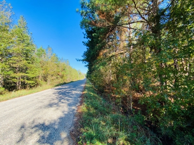 East TX Land for Sale Near Tyler in Smith County Wooded Land - image 5