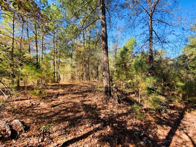 East TX Land for Sale Near Tyler in Smith County Wooded Land - image 1