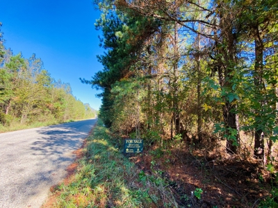 East TX Land for Sale Near Tyler in Smith County Wooded Land - image 19