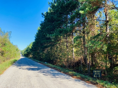 East TX Land for Sale Near Tyler in Smith County Wooded Land - image 18