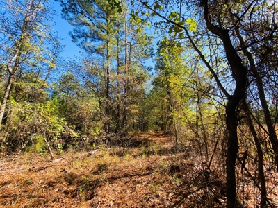 East TX Land for Sale Near Tyler in Smith County Wooded Land - image 14