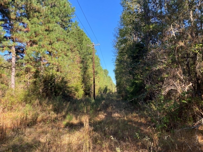East TX Land for Sale Near Tyler in Smith County Wooded Land - image 10