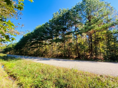 East TX Land for Sale Near Tyler in Smith County Wooded Land - image 4