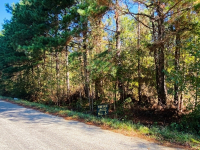 East TX Land for Sale Near Tyler in Smith County Wooded Land - image 17