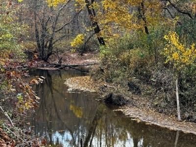 100+ Acres of Prime Hunting Land with Scenic Creek Views - image 22