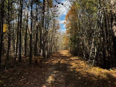 100+ Acres of Prime Hunting Land with Scenic Creek Views - image 4