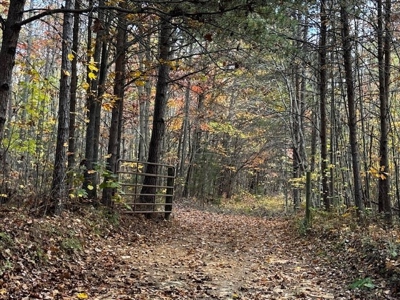 100+ Acres of Prime Hunting Land with Scenic Creek Views - image 6