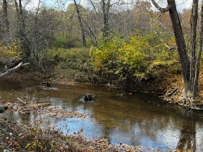 100+ Acres of Prime Hunting Land with Scenic Creek Views - image 21