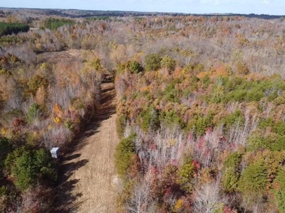 100+ Acres of Prime Hunting Land with Scenic Creek Views - image 16