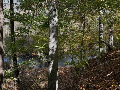 100+ Acres of Prime Hunting Land with Scenic Creek Views - image 14