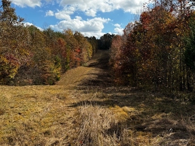 100+ Acres of Prime Hunting Land with Scenic Creek Views - image 8