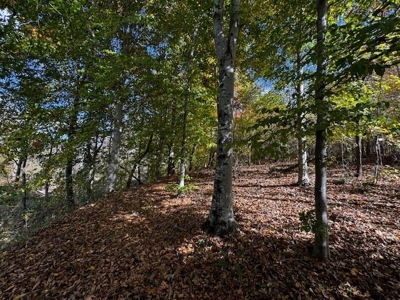 100+ Acres of Prime Hunting Land with Scenic Creek Views - image 13