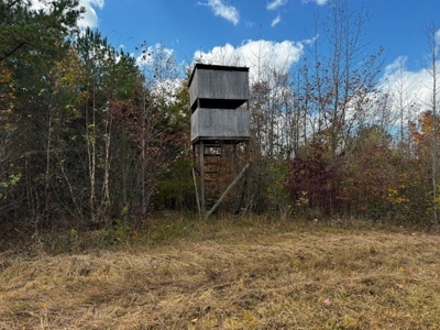 100+ Acres of Prime Hunting Land with Scenic Creek Views - image 20