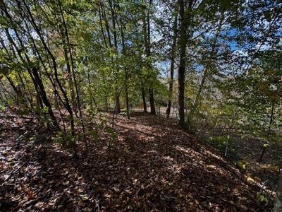 100+ Acres of Prime Hunting Land with Scenic Creek Views - image 15