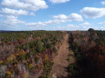 100+ Acres of Prime Hunting Land with Scenic Creek Views - image 18