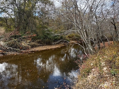100+ Acres of Prime Hunting Land with Scenic Creek Views - image 23