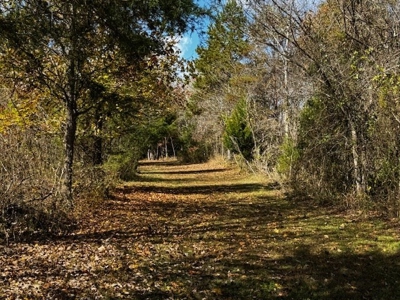 100+ Acres of Prime Hunting Land with Scenic Creek Views - image 39