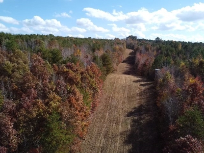 100+ Acres of Prime Hunting Land with Scenic Creek Views - image 9