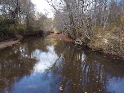 100+ Acres of Prime Hunting Land with Scenic Creek Views - image 24
