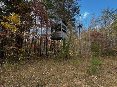 100+ Acres of Prime Hunting Land with Scenic Creek Views - image 19