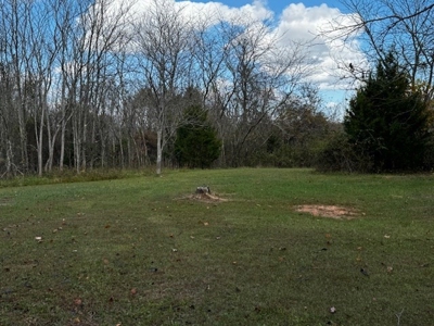 100+ Acres of Prime Hunting Land with Scenic Creek Views - image 7