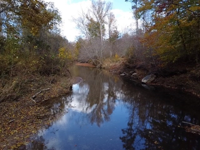 100+ Acres of Prime Hunting Land with Scenic Creek Views - image 25