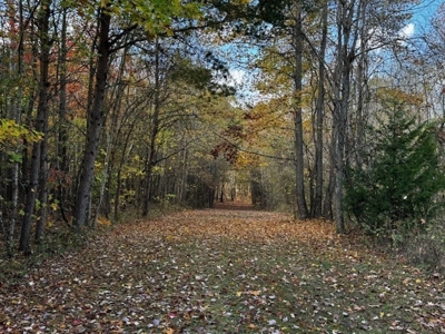 100+ Acres of Prime Hunting Land with Scenic Creek Views - image 35