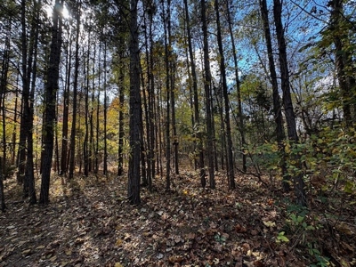 100+ Acres of Prime Hunting Land with Scenic Creek Views - image 28