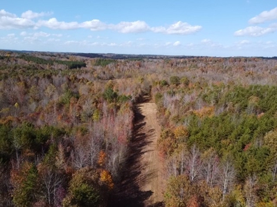 100+ Acres of Prime Hunting Land with Scenic Creek Views - image 11