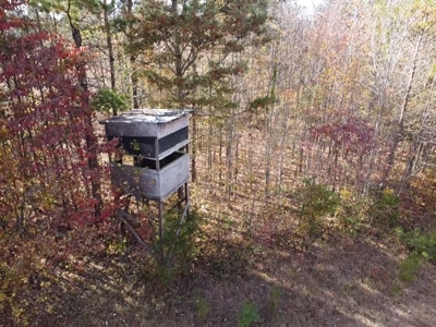 100+ Acres of Prime Hunting Land with Scenic Creek Views - image 10