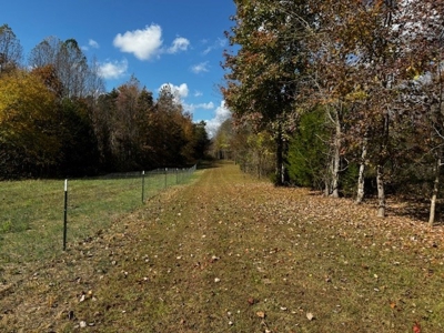 100+ Acres of Prime Hunting Land with Scenic Creek Views - image 34