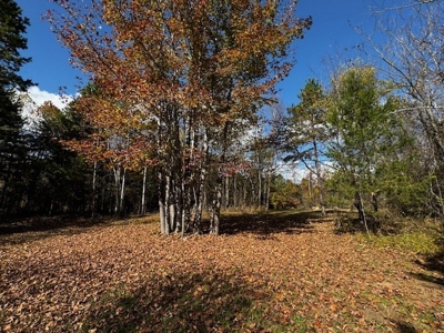 100+ Acres of Prime Hunting Land with Scenic Creek Views - image 27