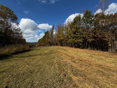100+ Acres of Prime Hunting Land with Scenic Creek Views - image 30
