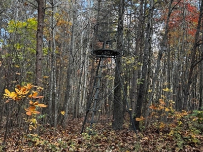 100+ Acres of Prime Hunting Land with Scenic Creek Views - image 5