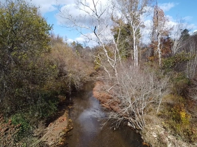 100+ Acres of Prime Hunting Land with Scenic Creek Views - image 26