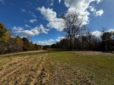 100+ Acres of Prime Hunting Land with Scenic Creek Views - image 29