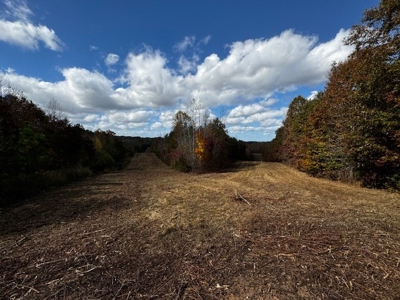 100+ Acres of Prime Hunting Land with Scenic Creek Views - image 31