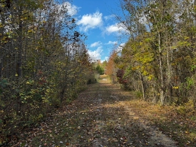 100+ Acres of Prime Hunting Land with Scenic Creek Views - image 37