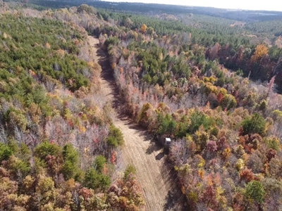 100+ Acres of Prime Hunting Land with Scenic Creek Views - image 2