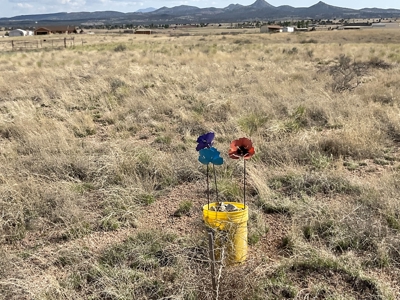 Country Acreage in Paulden AZ,  No HOA, has power avail. - image 9