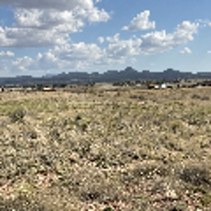 Country Acreage in Paulden AZ,  No HOA, has power avail. - image 10