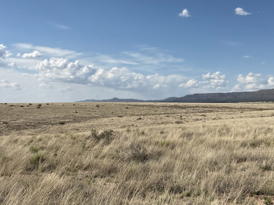 Country Acreage in Paulden AZ,  No HOA, has power avail. - image 7