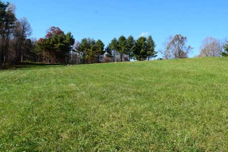 Building Lot for Sale in Floyd County VA - image 18