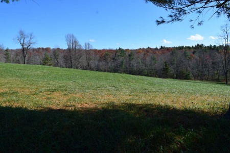 Building Lot for Sale in Floyd County VA - image 2