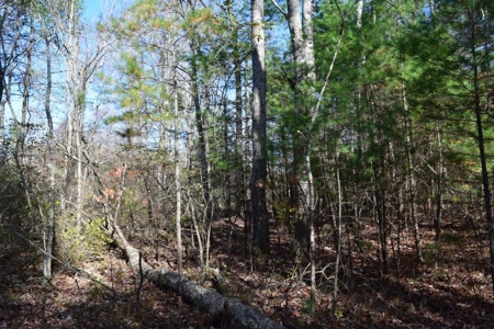 Building Lot for Sale in Floyd County VA - image 15
