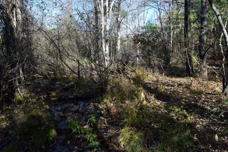 Building Lot for Sale in Floyd County VA - image 17
